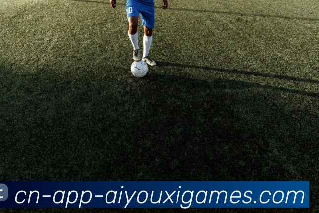 爱游戏服务体系